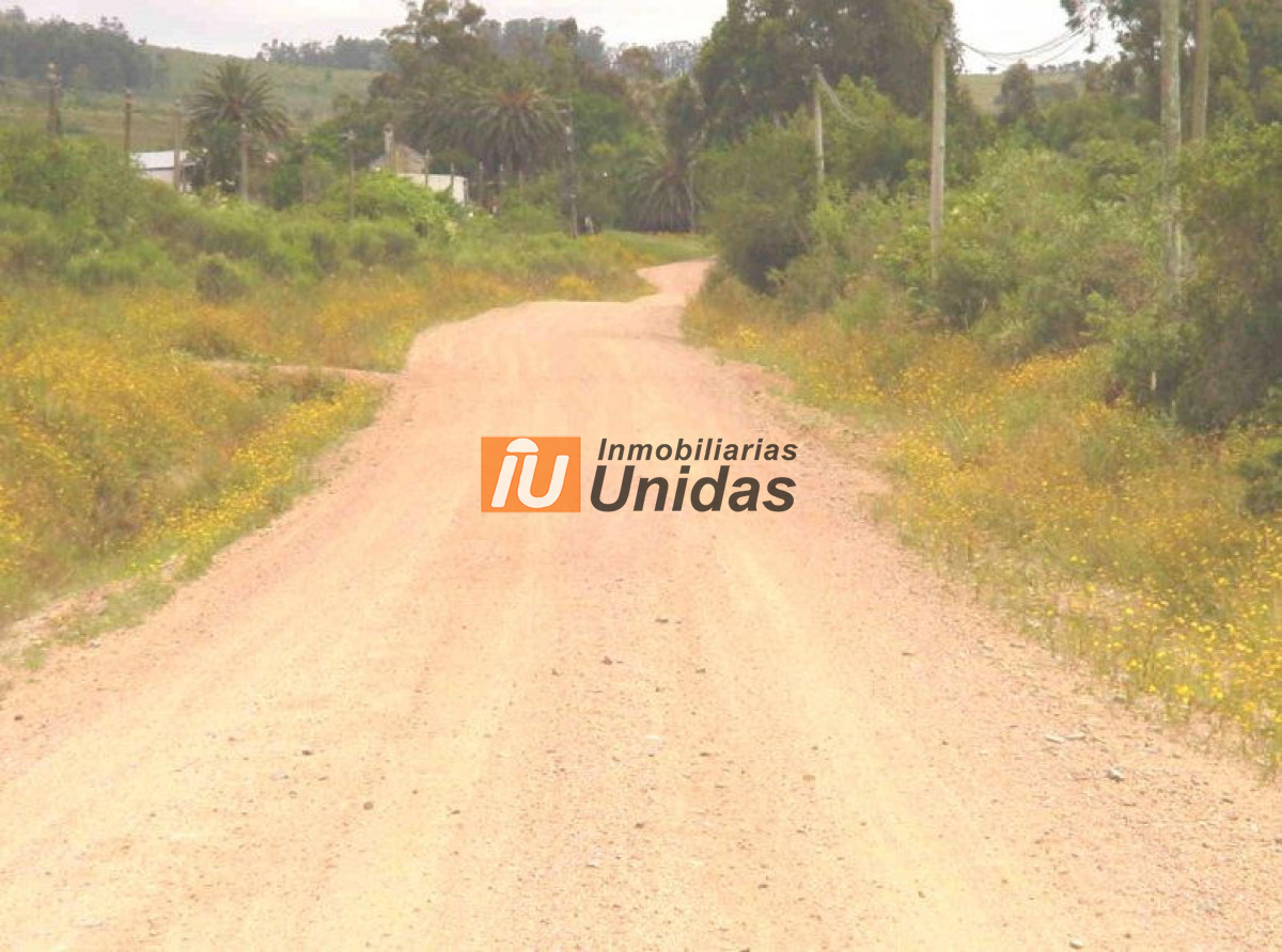 Chacra ID.234360 - 