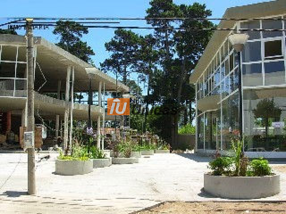 Local Comercial ID.234556 - Local en Punta del Este, Roosevelt