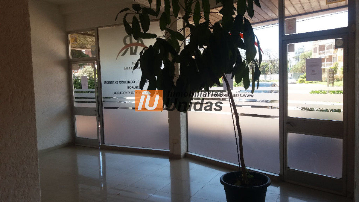 Local Comercial ID.234597 - Local en Punta del Este, Aidy Grill