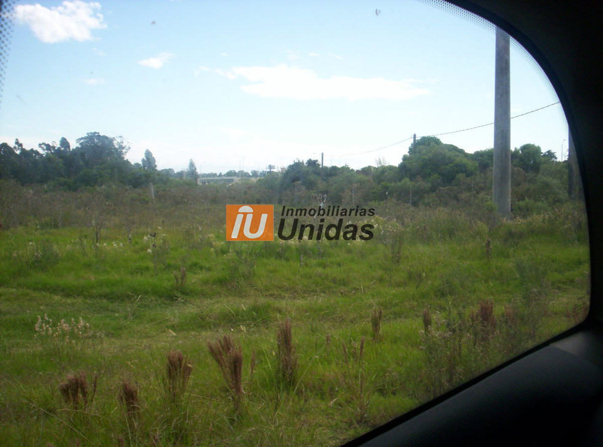 Terreno ID.234224 - Terreno en PiriÃ¡polis, Solis