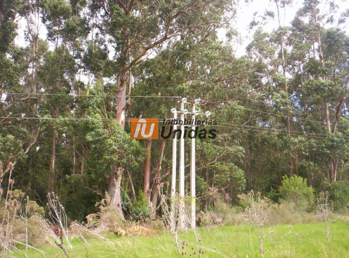 Terreno ID.234224 - Terreno en Piriápolis, Solis