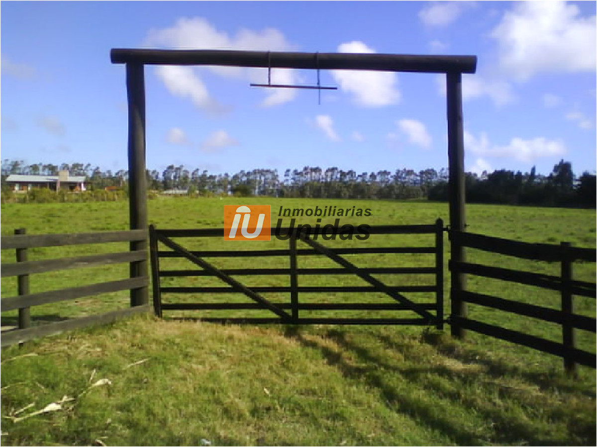 Terreno ID.234260 - Terreno en La Barra, La Barra