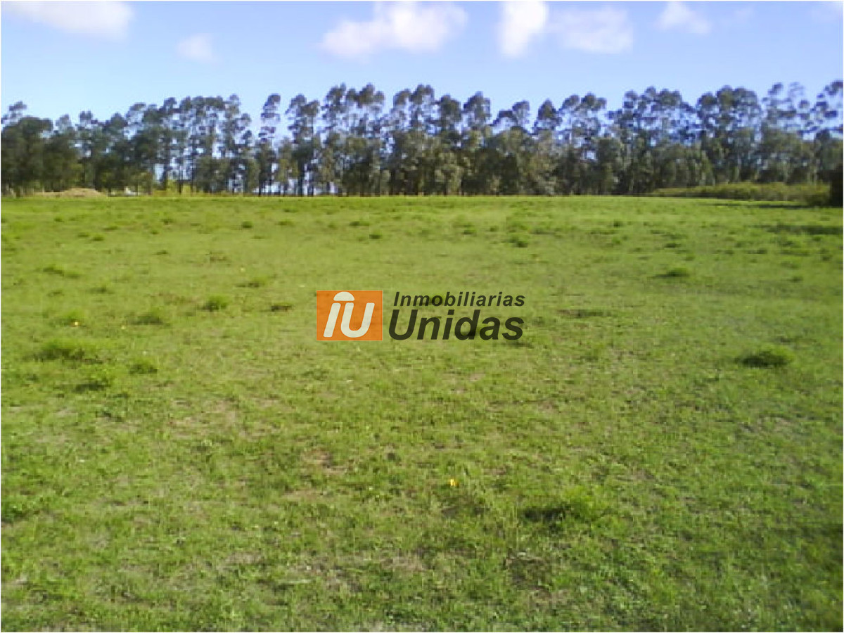 Terreno ID.234260 - Terreno en La Barra, La Barra