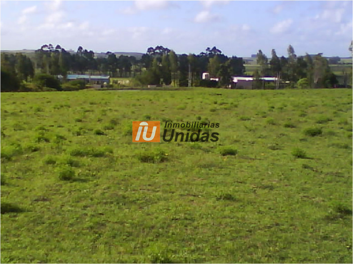 Terreno ID.234260 - Terreno en La Barra, La Barra