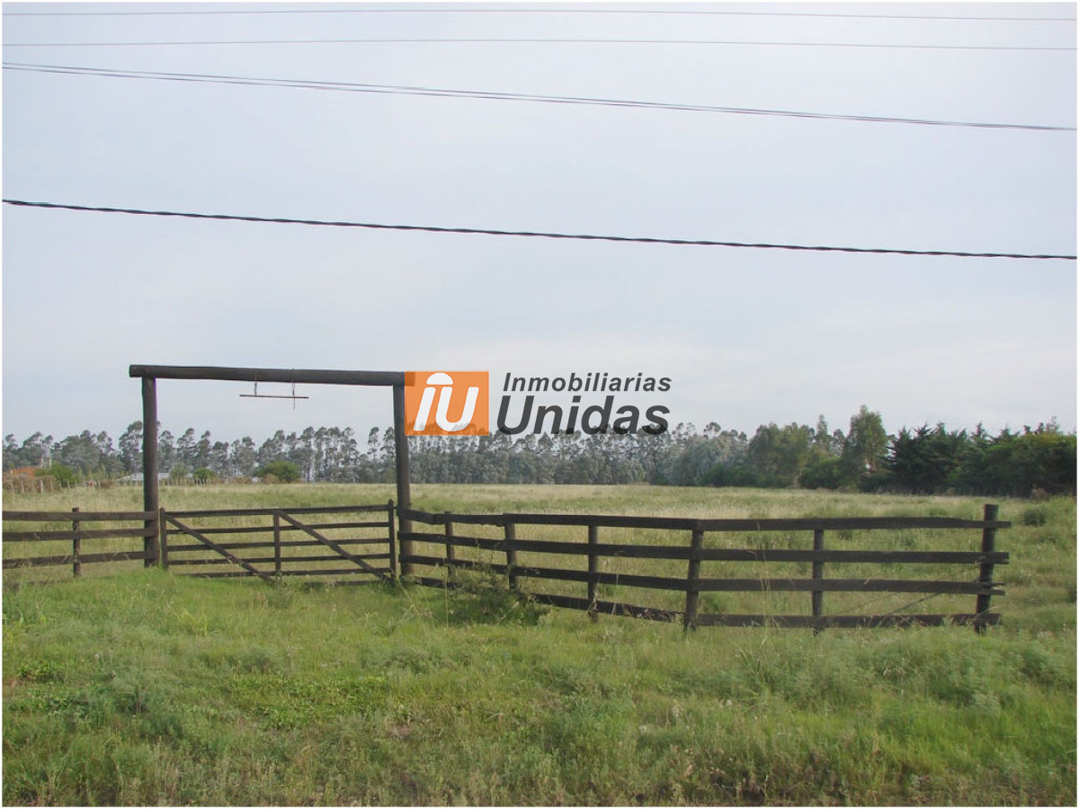 Terreno ID.234260 - Terreno en La Barra, La Barra