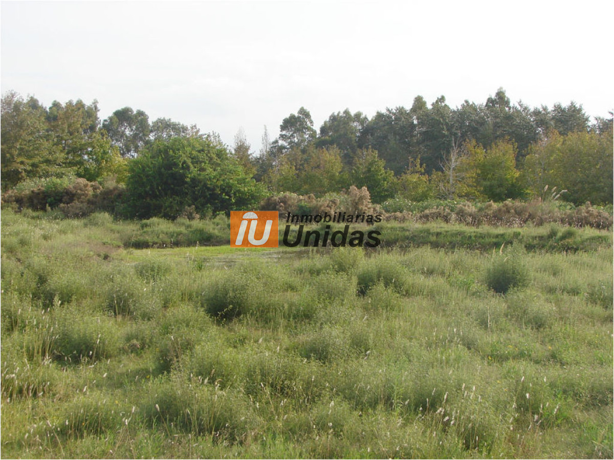 Terreno ID.234260 - Terreno en La Barra, La Barra