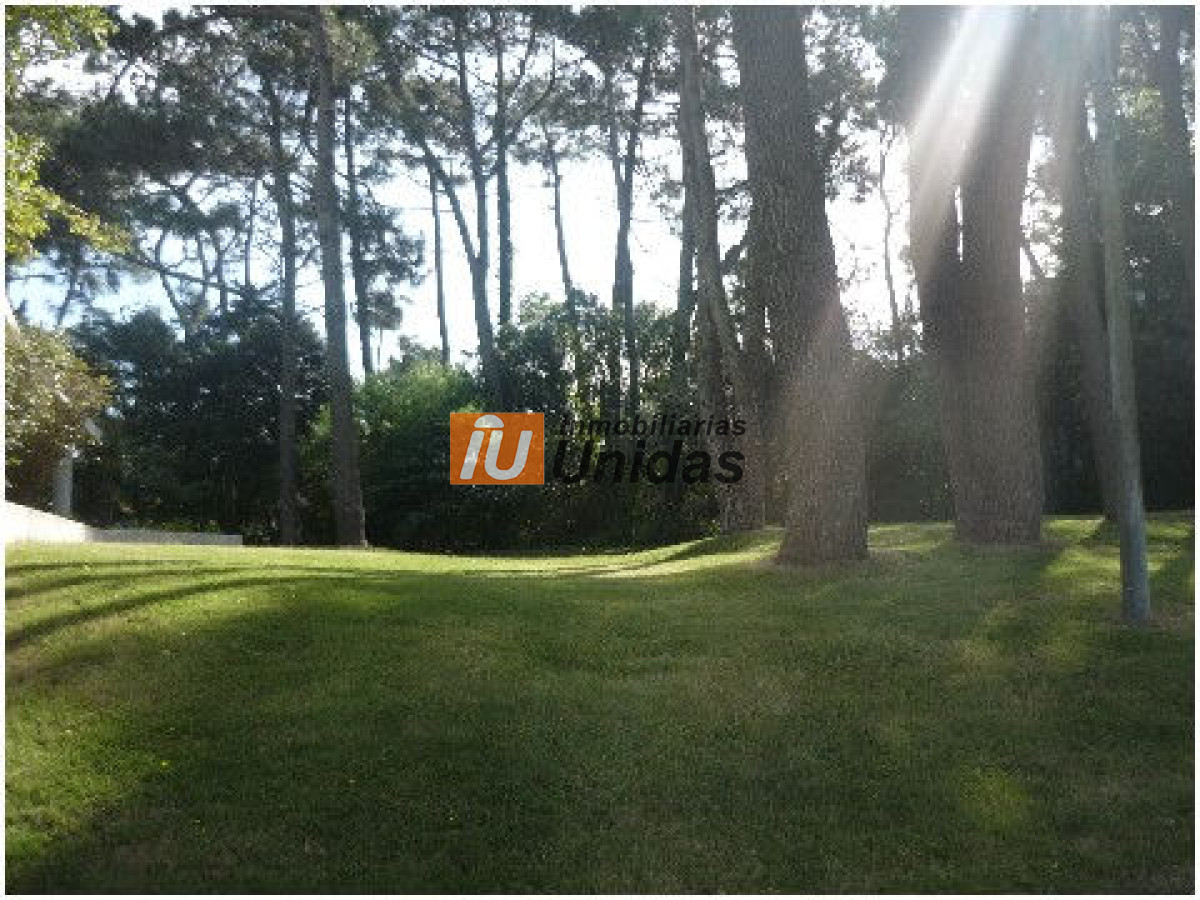 Terreno ID.234309 - Terreno en Punta del Este, Mansa
