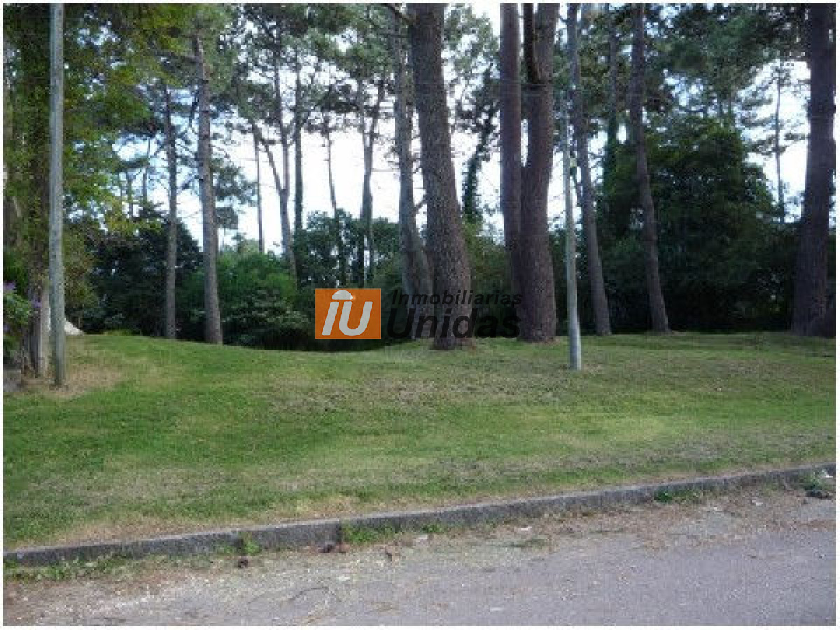 Terreno ID.234309 - Terreno en Punta del Este, Mansa