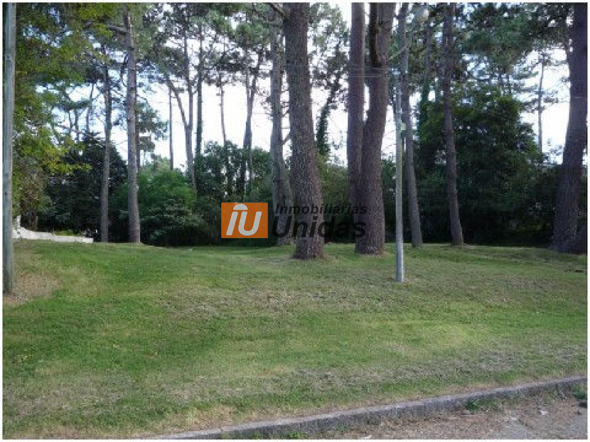 Terreno ID.234309 - Terreno en Punta del Este, Mansa