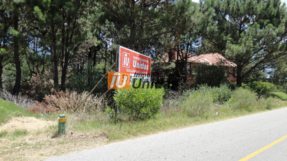 Terreno ID.234318 - Terreno en Punta Ballena, Punta Ballena