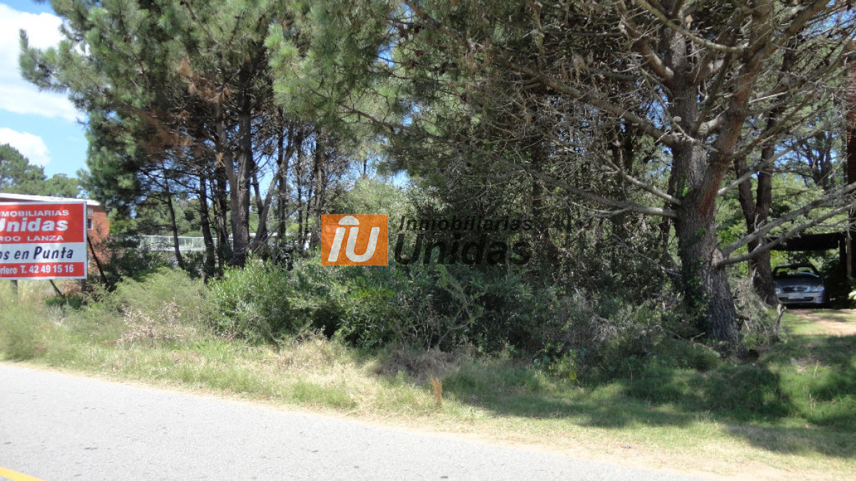 Terreno ID.234318 - Terreno en Punta Ballena, Punta Ballena