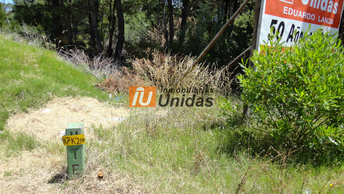Terreno ID.234318 - Terreno en Punta Ballena, Punta Ballena