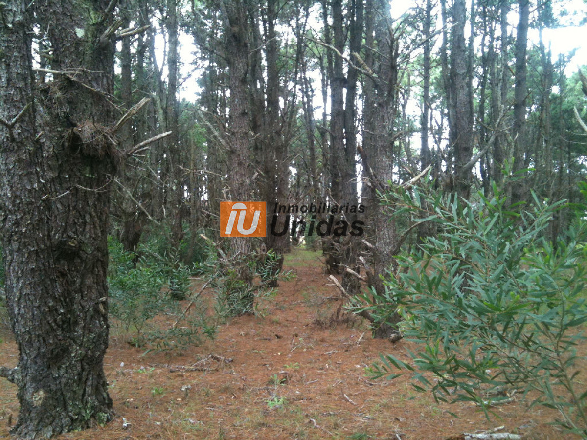 Terreno ID.234322 - Terreno en Manantiales, Manantiales