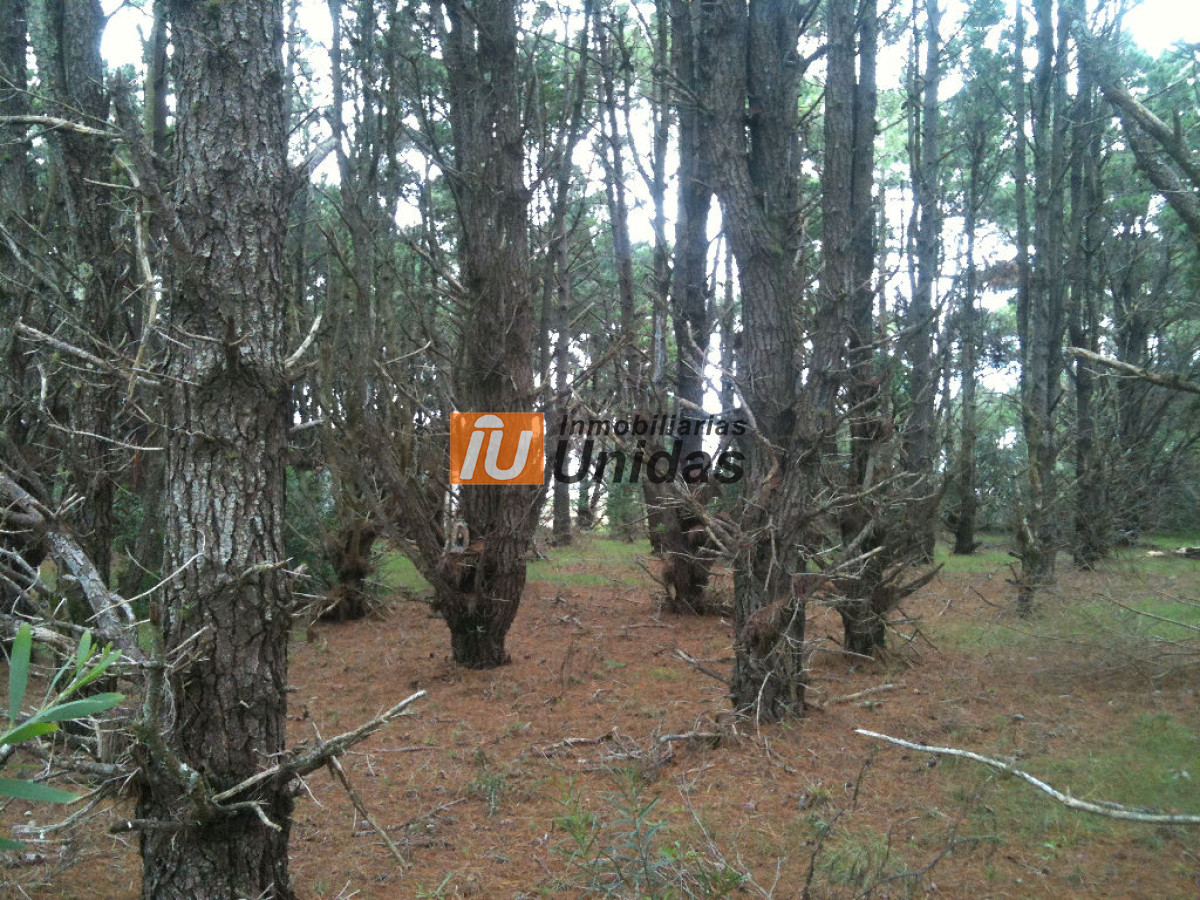 Terreno ID.234322 - Terreno en Manantiales, Manantiales