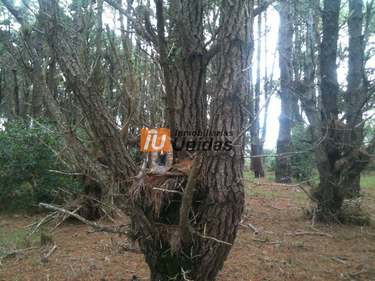 Terreno ID.234322 - Terreno en Manantiales, Manantiales