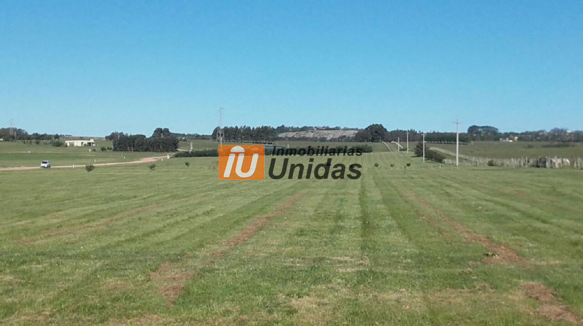 Terreno ID.234331 - Terreno en San Carlos, San Carlos