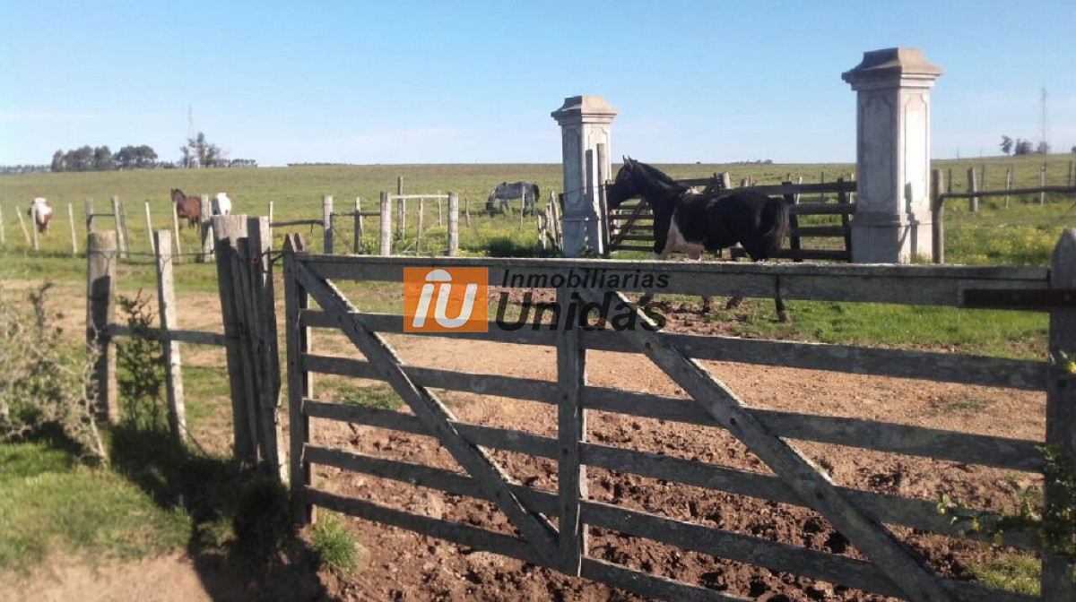 Terreno ID.234331 - Terreno en San Carlos, San Carlos