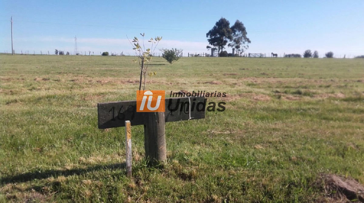 Terreno ID.234331 - Terreno en San Carlos, San Carlos