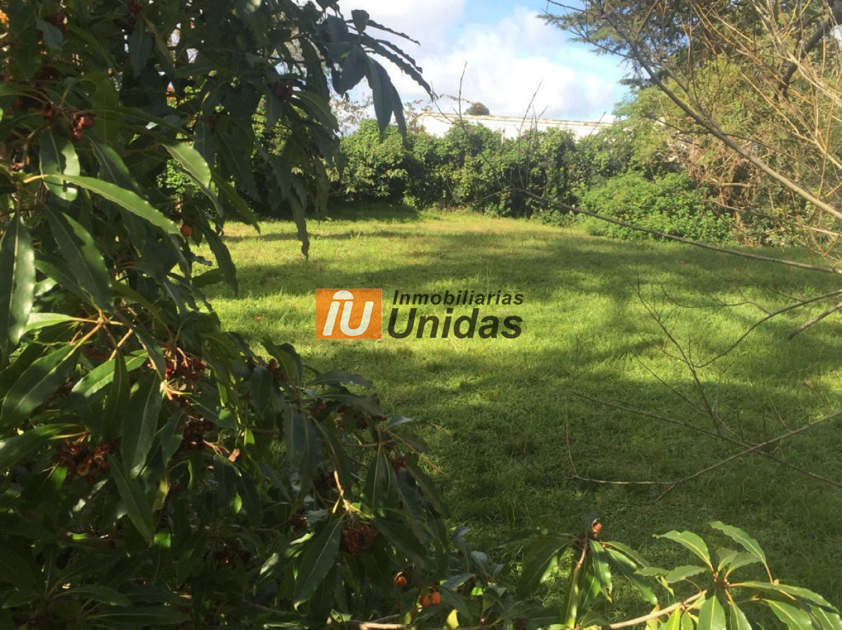 Terreno ID.234338 - Terreno en Punta del Este, Cantegril
