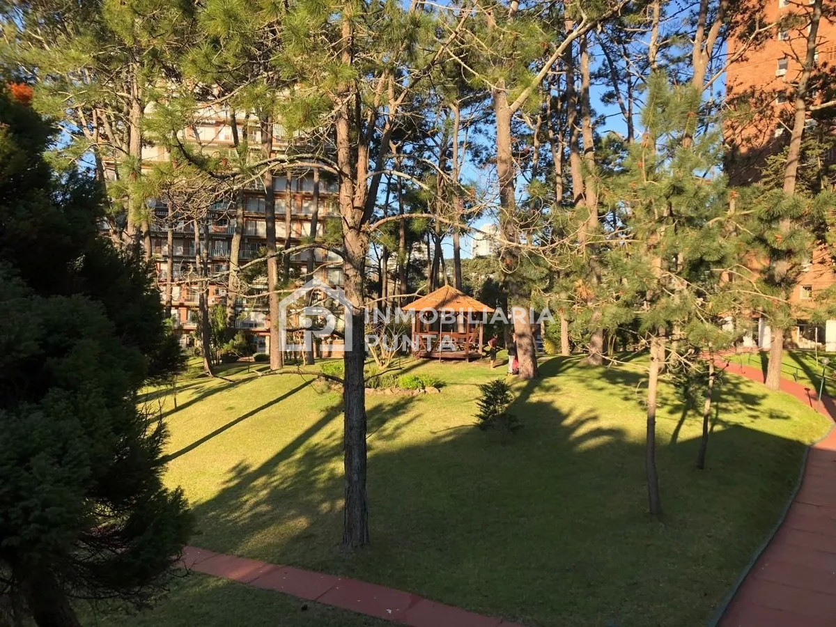 https://ri.com.uy/f/262/0/1200/0/0/0/1d9c56fe7cd7e6ba6584e43b9a6fd018.jpg