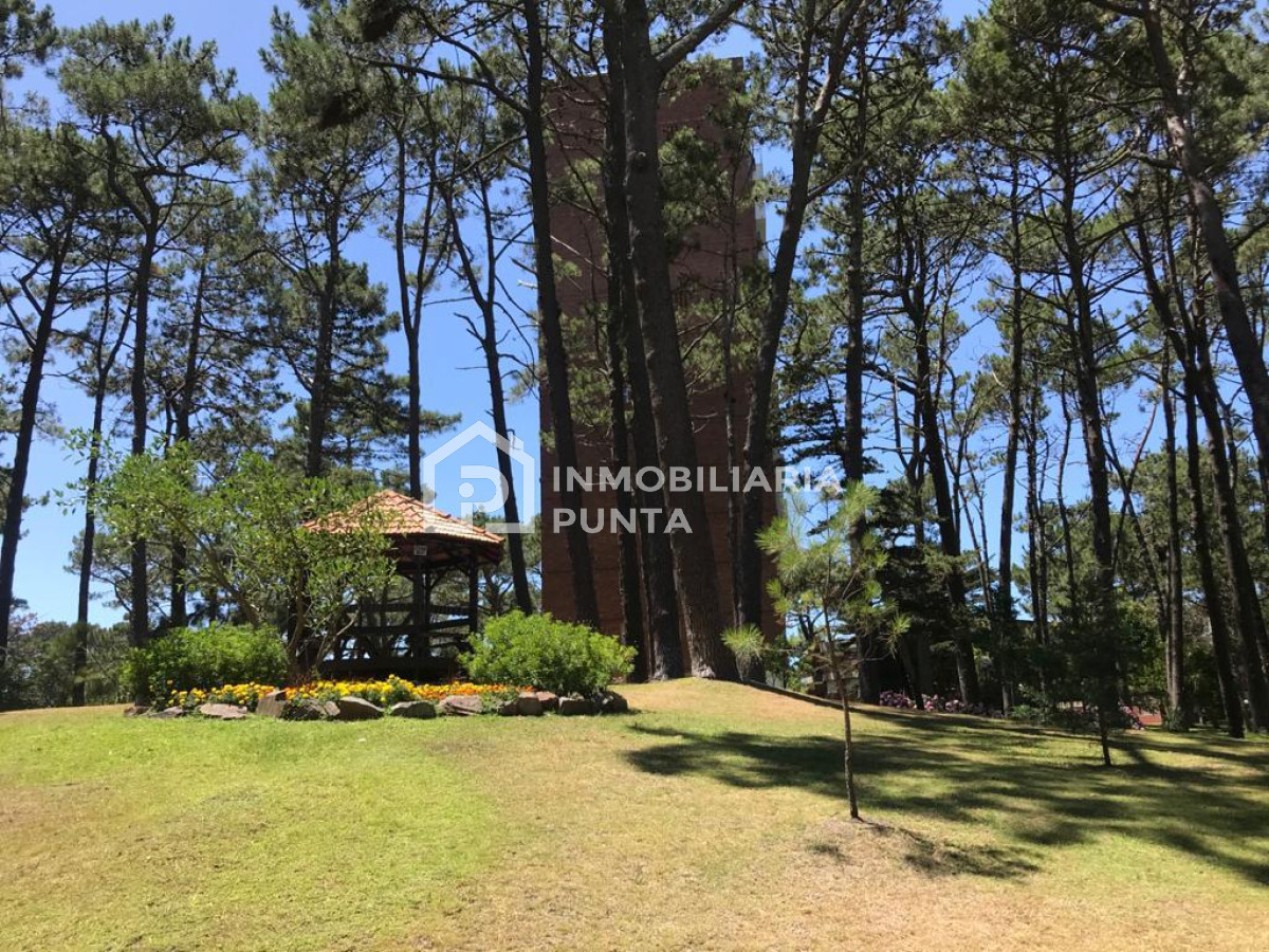 https://ri.com.uy/f/262/0/1200/0/0/0/7dd85e2d26d31c00ce88adddd601a7ff.jpg