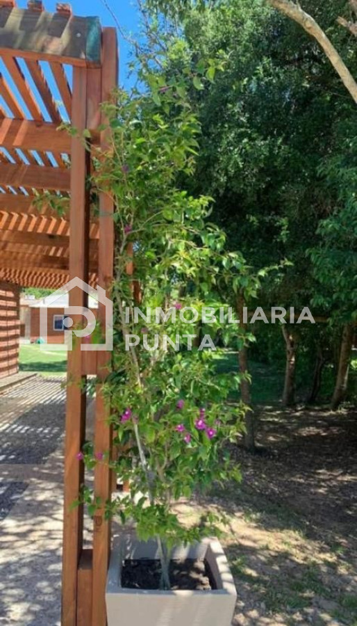 https://ri.com.uy/f/262/1/1200/0/0/0/721fce0436dd2808d9299b0ccd118654.jpg
