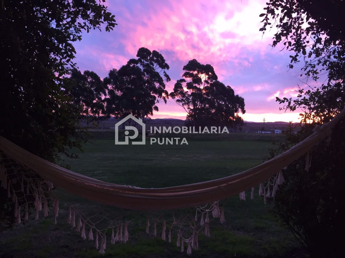 https://ri.com.uy/f/262/1/1200/0/0/0/d889f9f83dd06f5391ada3a9b4f42e35.jpg