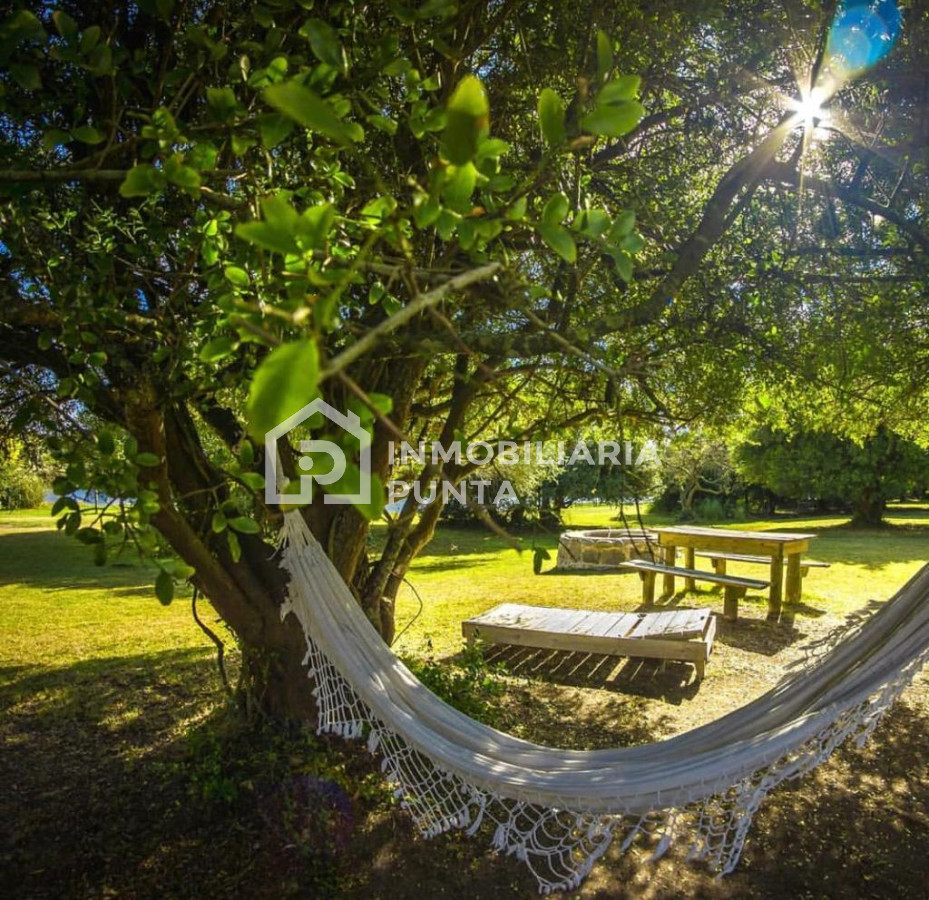 https://ri.com.uy/f/262/1/1200/0/0/0/fee32426547ac8ca22c7cd5e753b7e78.jpg