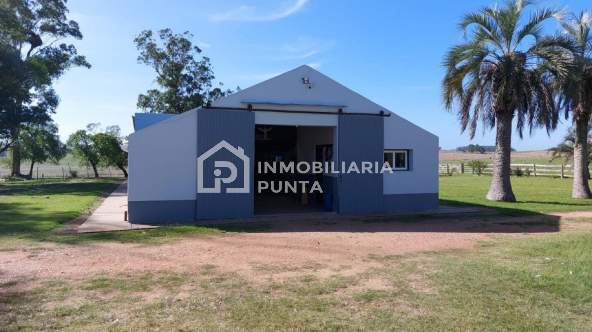 https://ri.com.uy/f/262/2/1200/0/0/0/1cd72f1dcd13fc199d9eba1b7eb359a4.jpg
