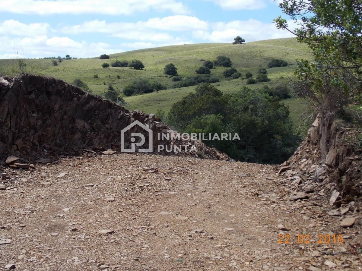 https://ri.com.uy/f/262/2/1200/0/0/0/31cb5f7d93e45fde716bfe817fd27812.jpg