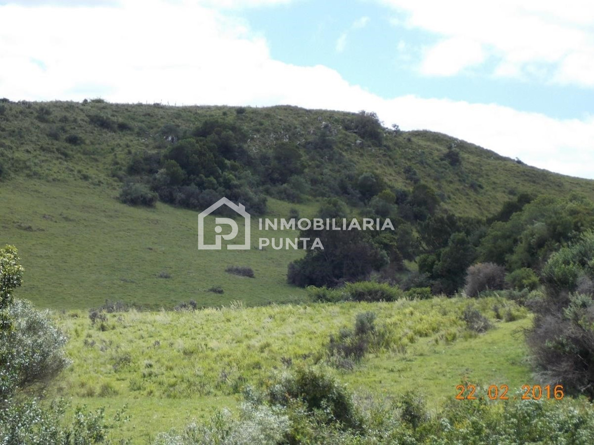 https://ri.com.uy/f/262/2/1200/0/0/0/529b191c6c8578e58ee3ad7363cf7591.jpg