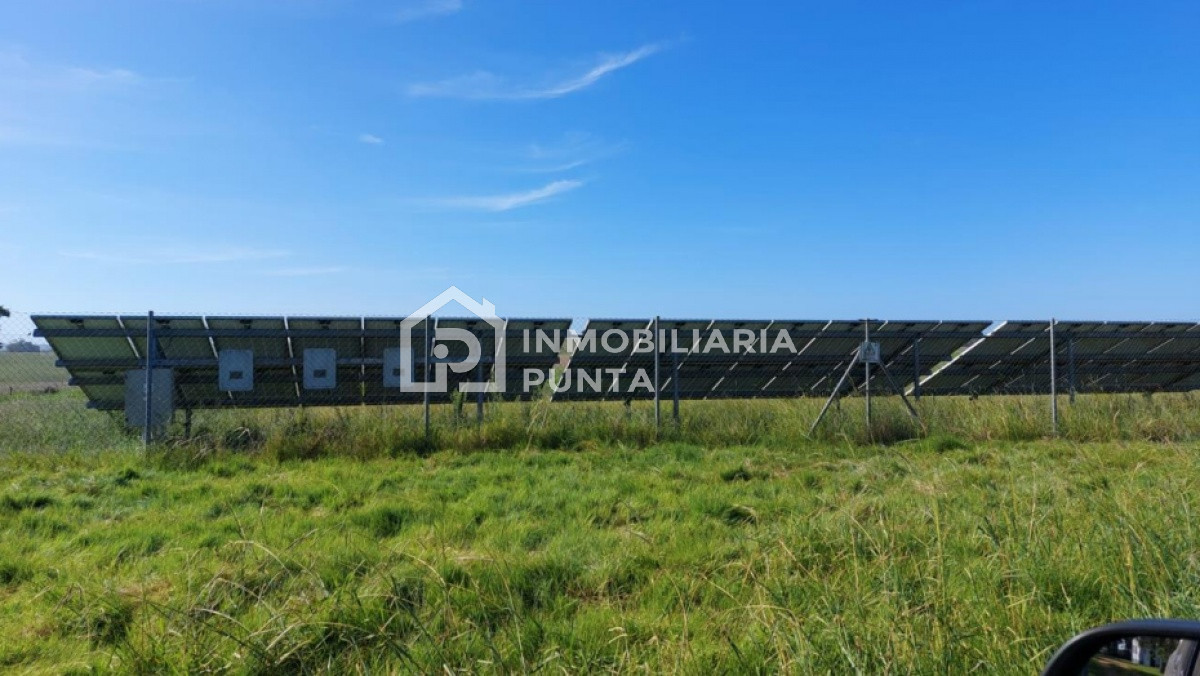 https://ri.com.uy/f/262/2/1200/0/0/0/88c58d716e9a93117fdc4bcd8dd17064.jpg