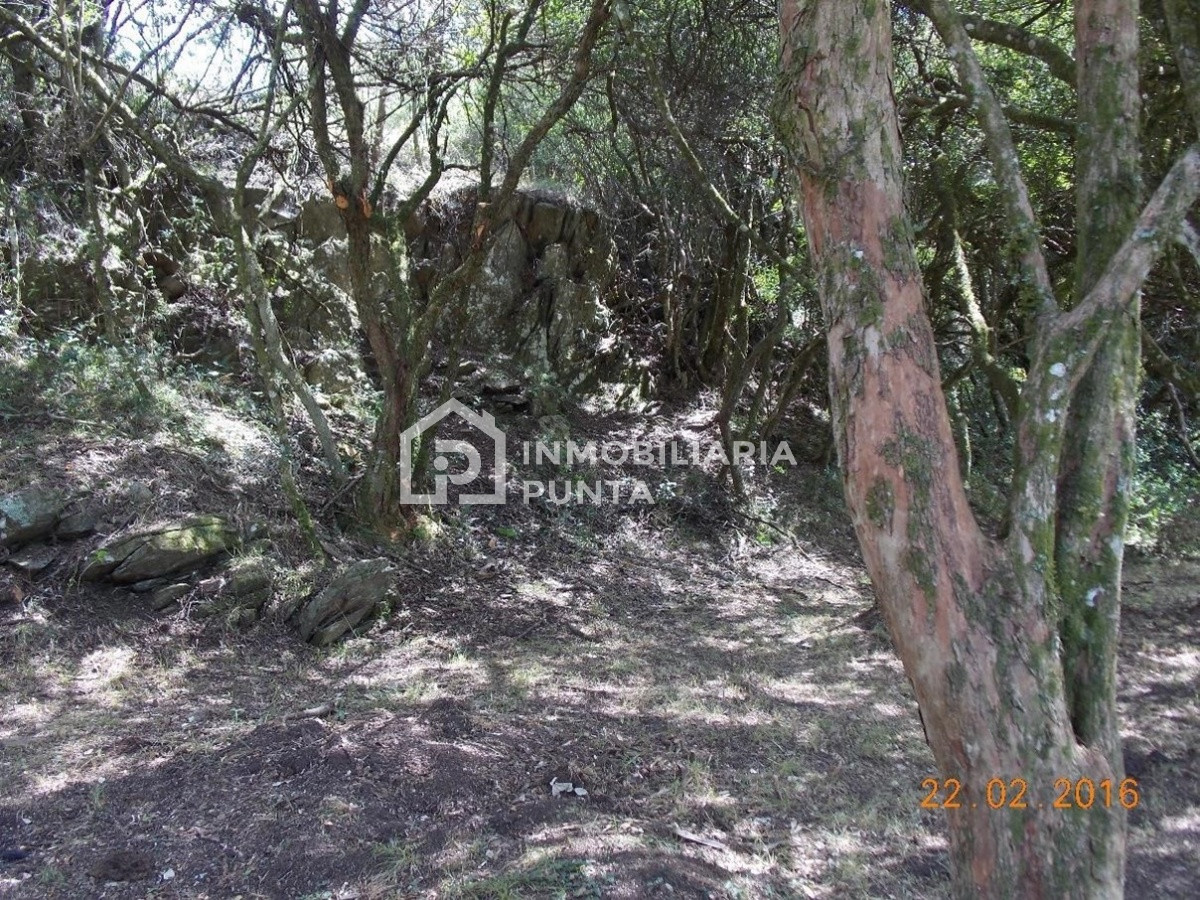 https://ri.com.uy/f/262/2/1200/0/0/0/bac8336651ffee39b5377e97385a0640.jpg