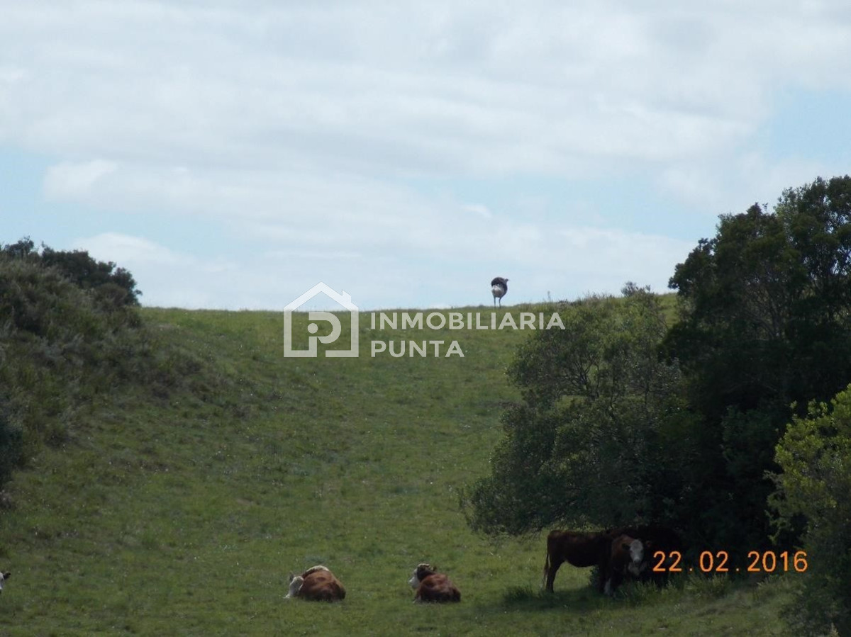 https://ri.com.uy/f/262/2/1200/0/0/0/e50952a71be61c846275bab0dd04bf37.jpg