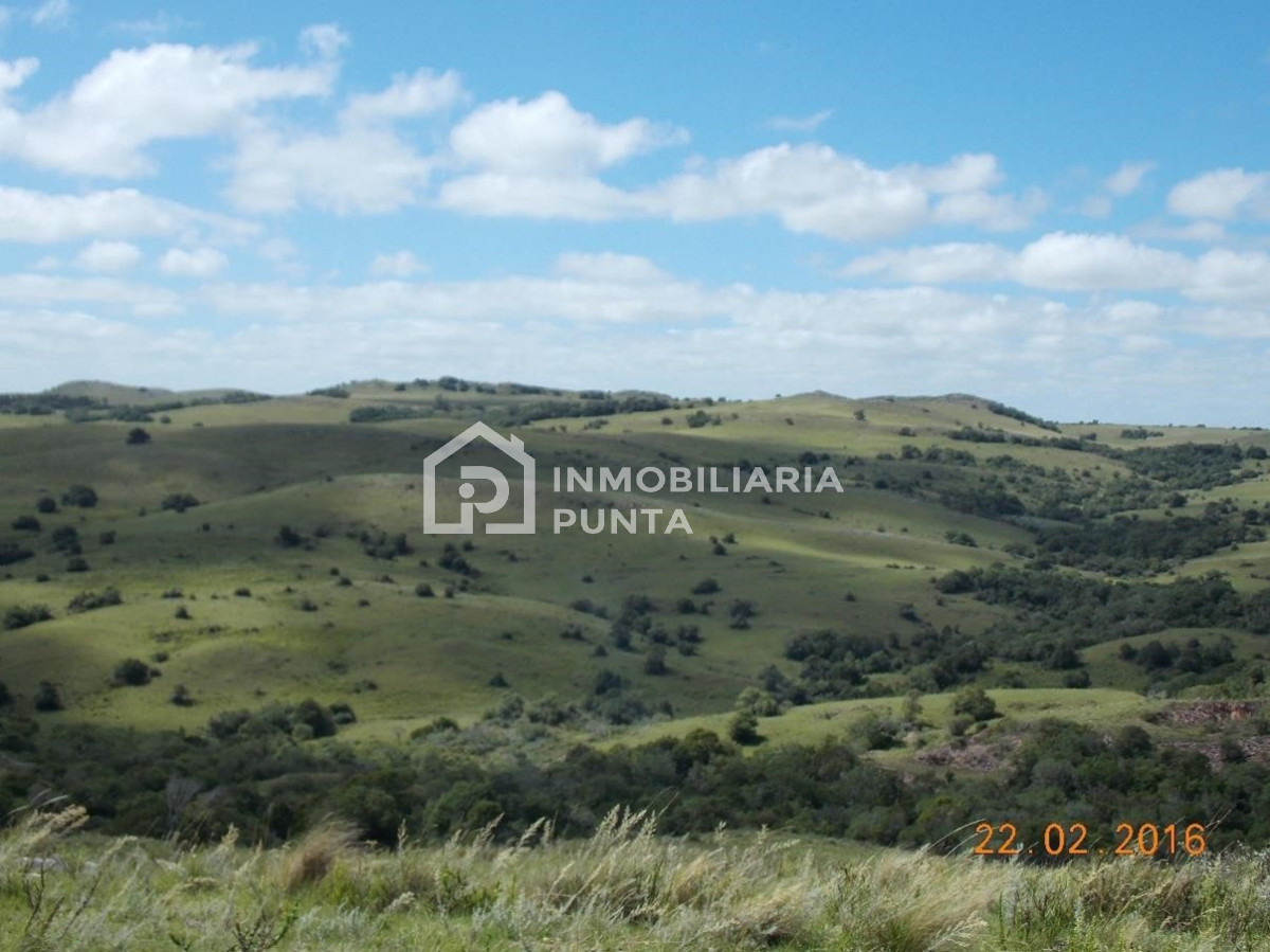 https://ri.com.uy/f/262/2/1200/0/0/0/eb136382f0cfca8bd894bef8f2d33669.jpg