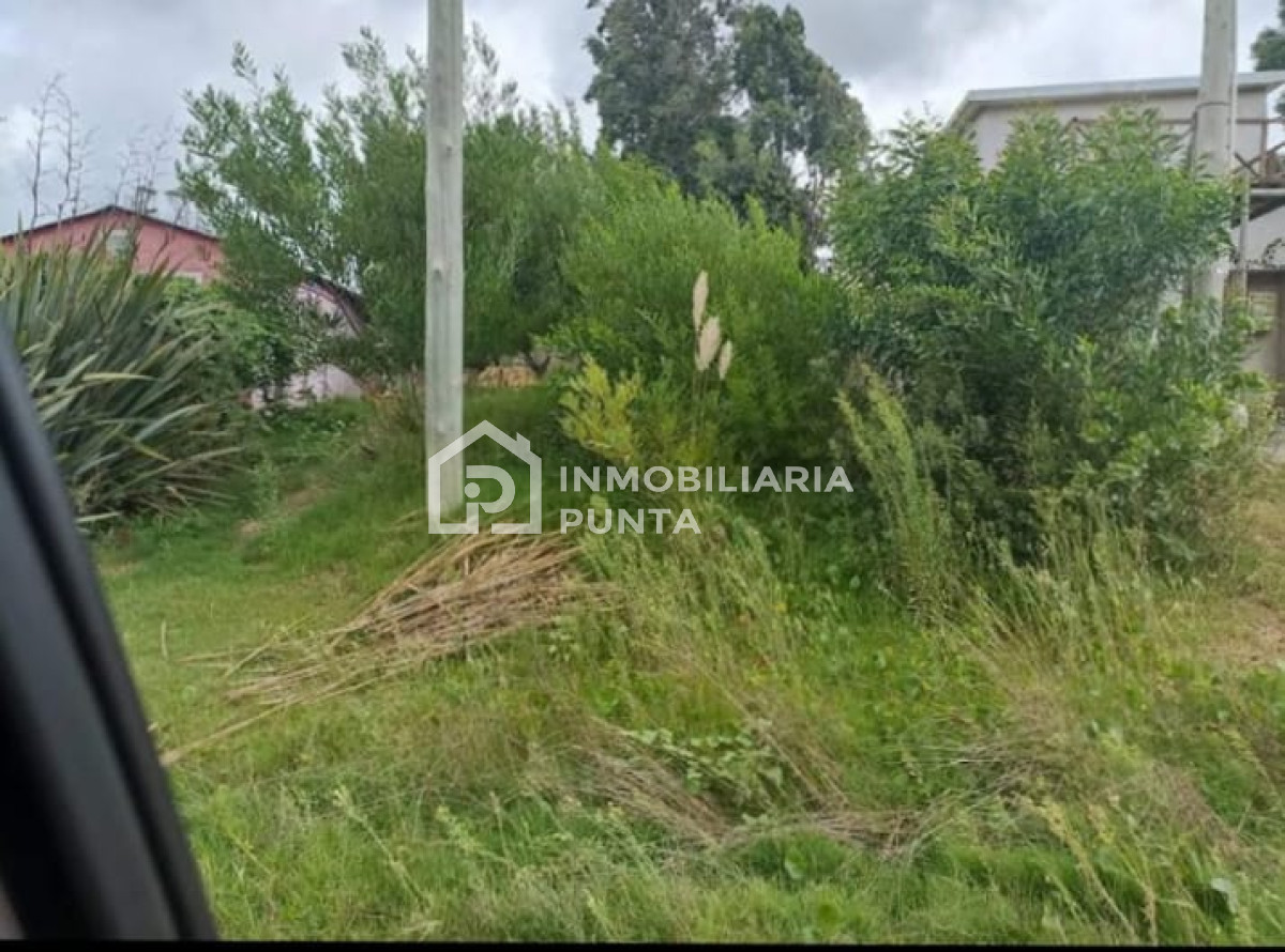 https://ri.com.uy/f/262/5/1200/0/0/0/15c7fecca1e4d59238cf353c5aebc072.jpg