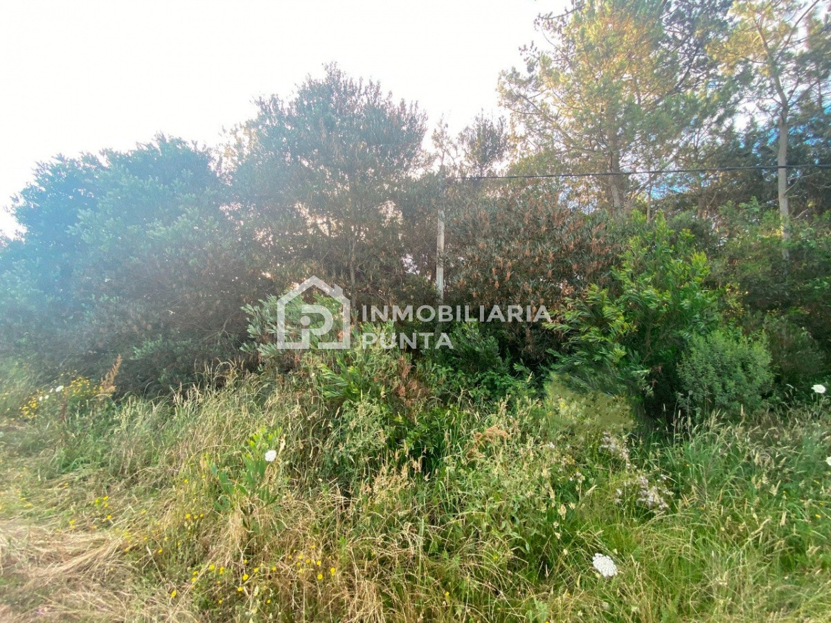 https://ri.com.uy/f/262/5/1200/0/0/0/2ca19ddba20085287fc3fec1f5d77740.jpg
