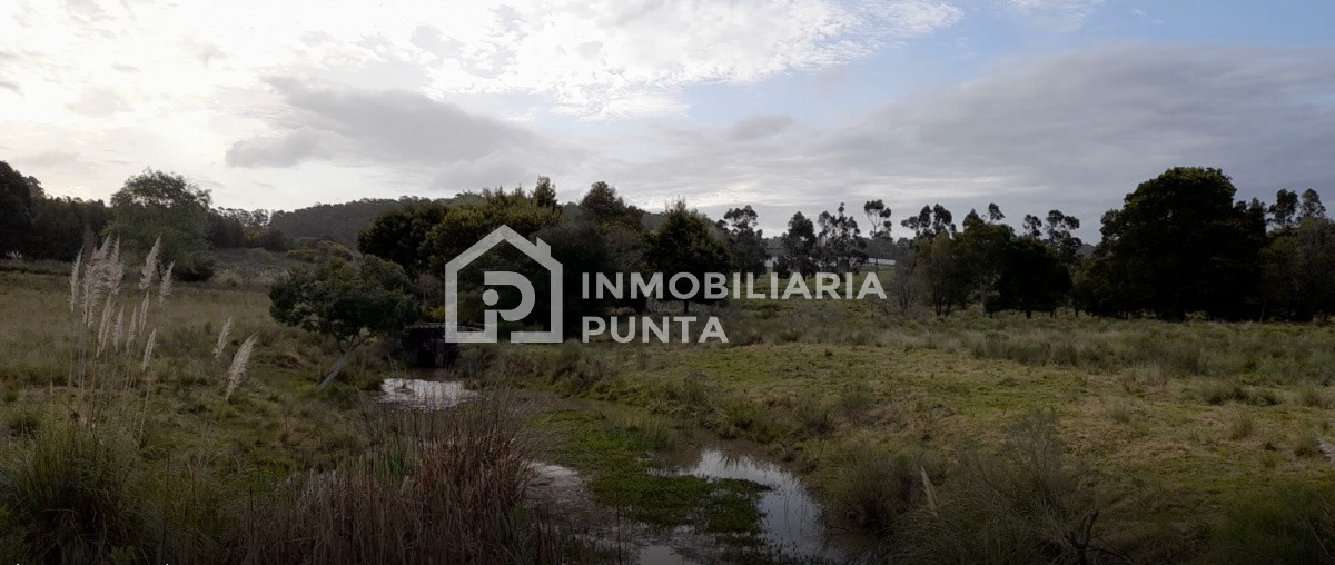 https://ri.com.uy/f/262/5/1200/0/0/0/be7d153a4ee57257923da99828165f63.jpg