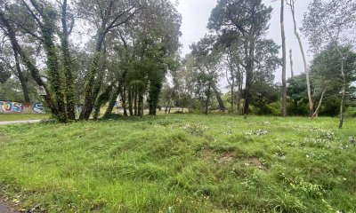 TERRENO EN LUGANO