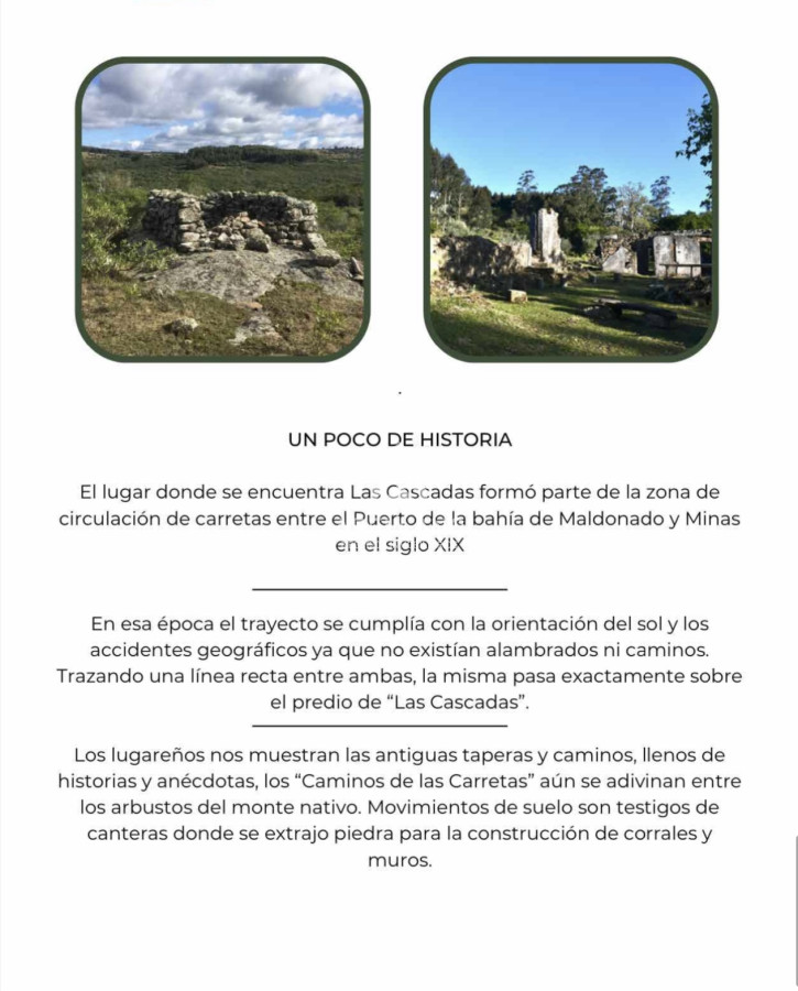 Chacra ID.1987 - Venta chacra de 16 hectareas 