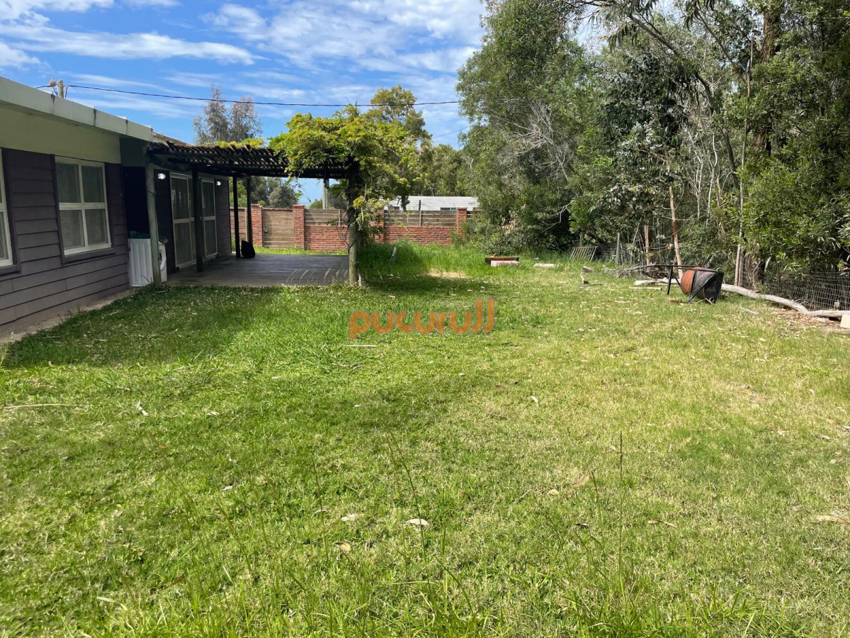 Sauce de Portezuelo - GoPunta - Portal Inmobiliario de Punta del Este - Maldonado