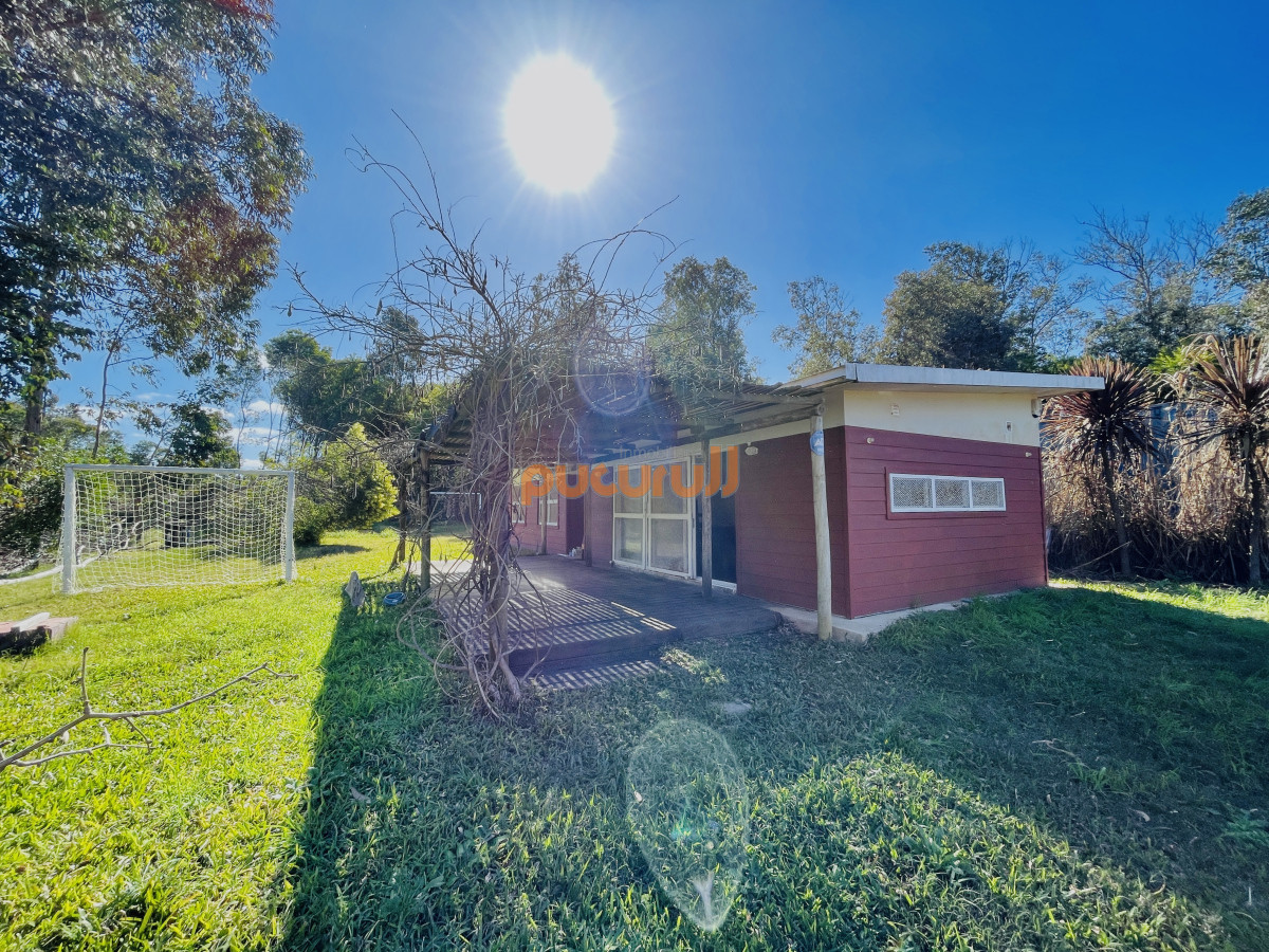 Sauce de Portezuelo - GoPunta - Portal Inmobiliario de Punta del Este - Maldonado