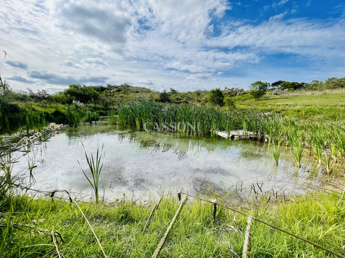 Chacra ID.3580 - Maravillosa Chacra en venta de 5 hectareas en zona Las Cañas, Maldonado