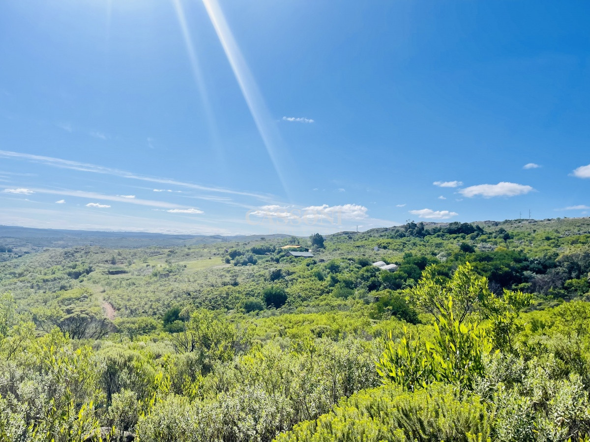 Chacra ID.3580 - Maravillosa Chacra en venta de 5 hectareas en zona Las Cañas, Maldonado