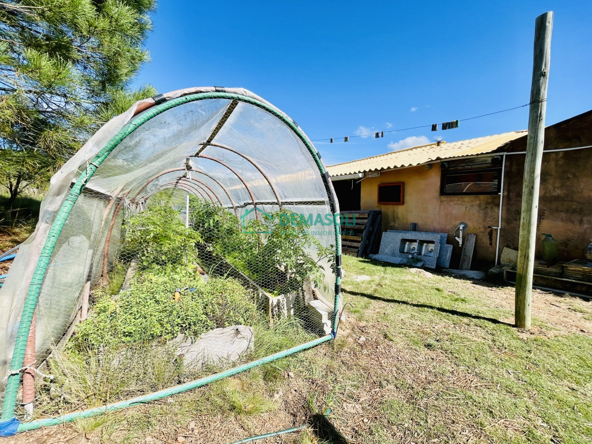 Chacra ID.835 - Maravillosa Chacra en venta de 5 hectareas en zona Las Cañas, Maldonado