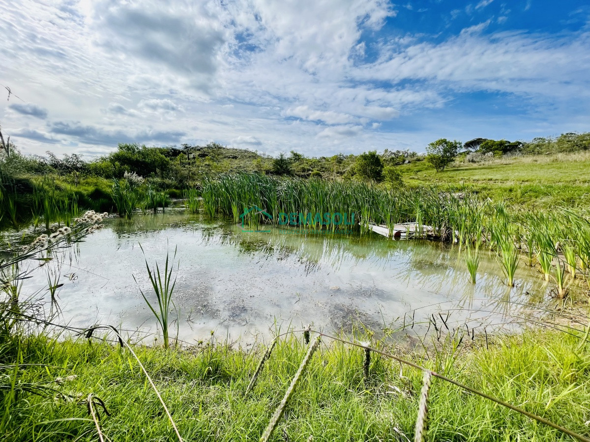Chacra ID.835 - Maravillosa Chacra en venta de 5 hectareas en zona Las Cañas, Maldonado