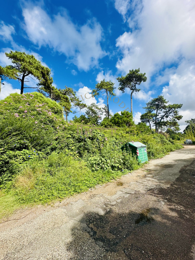 Terreno ID.3387 - ¡Oportunidad única en Punta del Este! Lote exclusivo sobre Av. del Mar – 5000 m²
