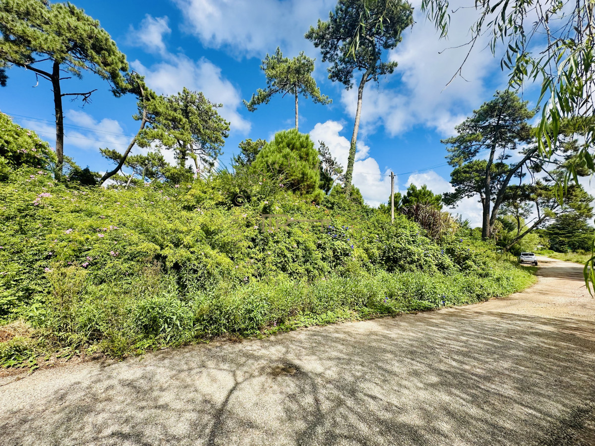Terreno ID.3387 - ¡Oportunidad única en Punta del Este! Lote exclusivo sobre Av. del Mar – 5000 m²