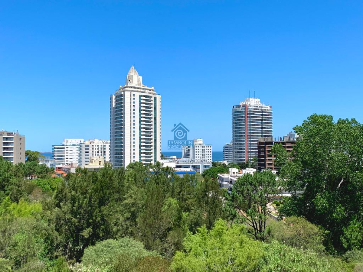 Apartamento ID.1193 - Excelente Apartamento de 2 Dormitorios en Ocean Drive, Punta del Este