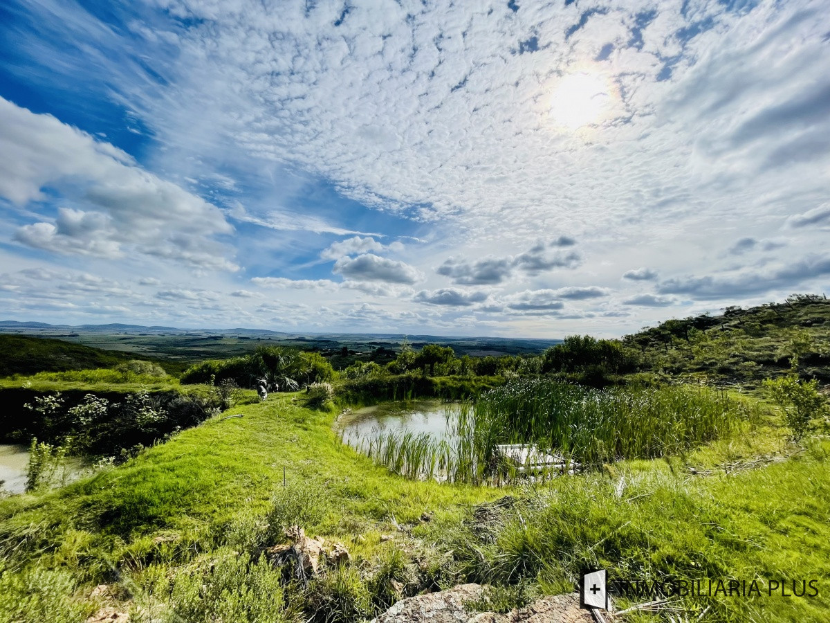 Chacra ID.462 - Venta de Chacra de 5 hectáreas en zona Las Cañas de Maldonado C916